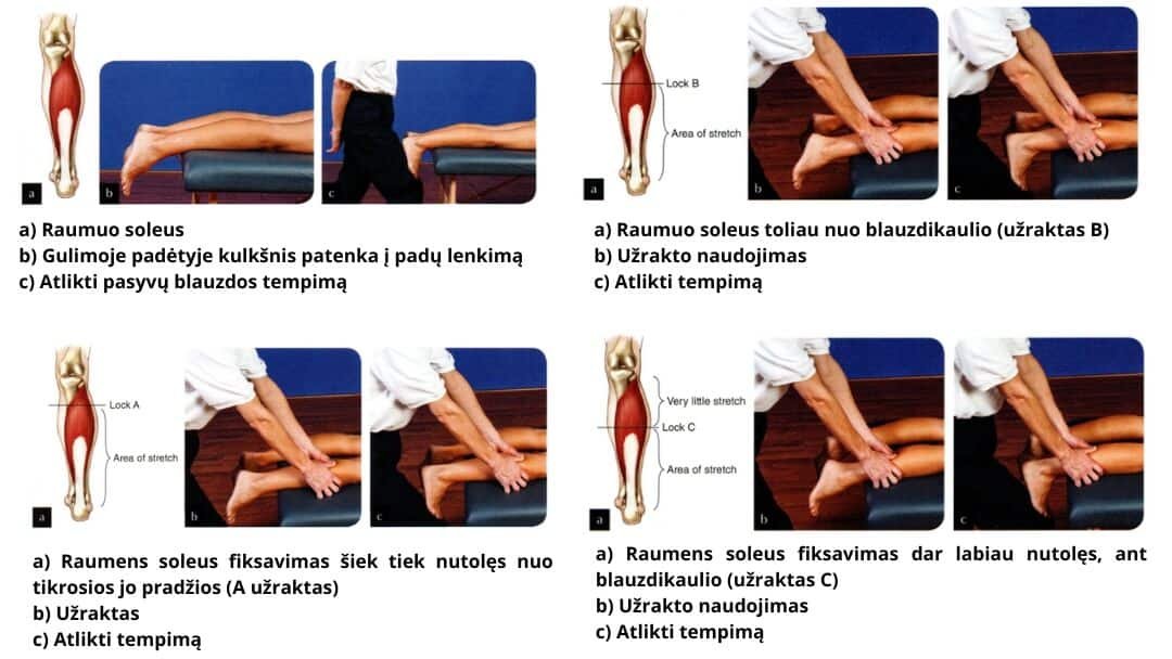 Specialisto atliekamas Minkštųjų audinių atpalaidavimas (Soft Tissue Release) naudojant užrakink ir temk technika ant blauzdos apatinės dalies.