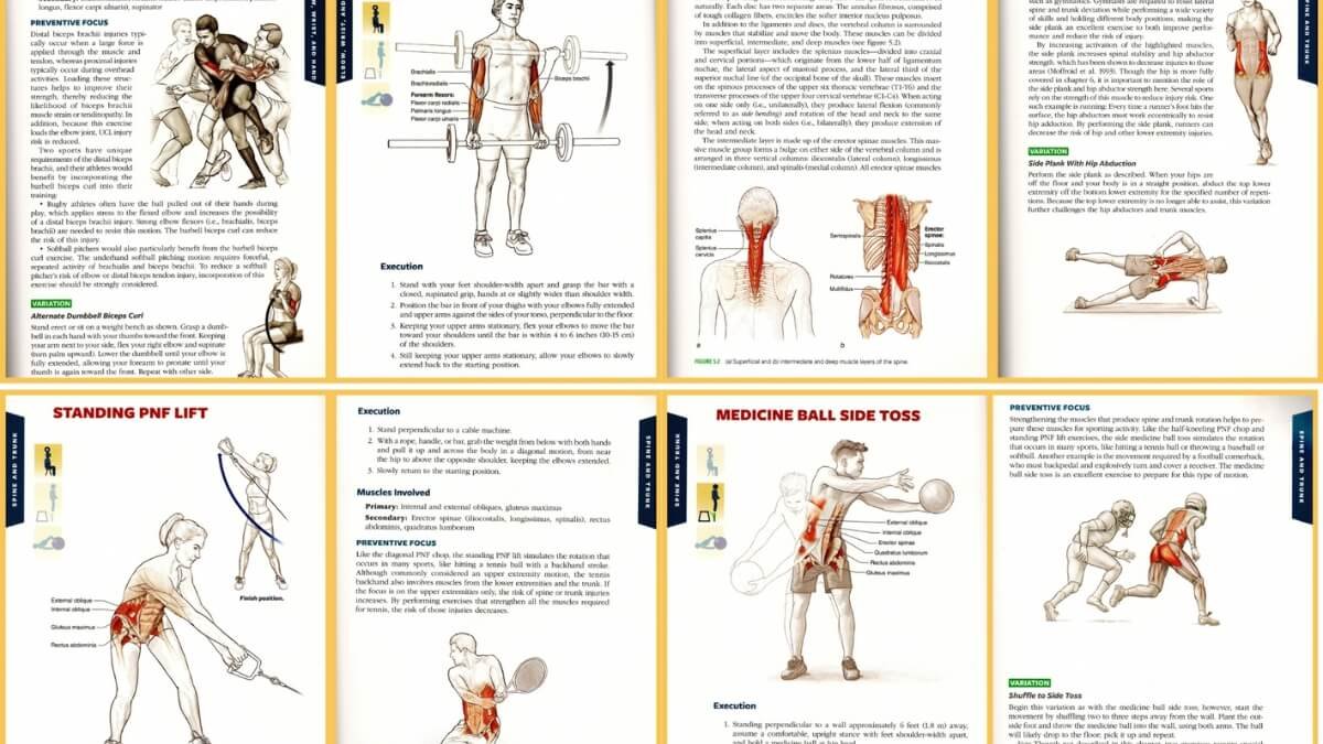 Apžvelgiamos geriausios nėščiųjų masažo knygos "Pre- and Perinatal Massage Therapy: A Comprehensive Guide to Prenatal, Labor and Postpartum Practice", taip pat pristatomos iliustracijos iš šios knygos.