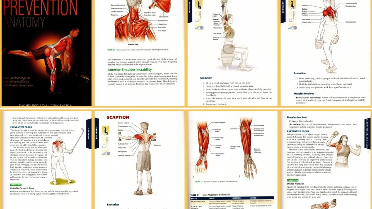 Apžvelgiama knyga therapeutic stretching. Paveiksliuke pavaizduotos iliustracijos iš knygos therapeutic stretching autorės Jane Johnson.