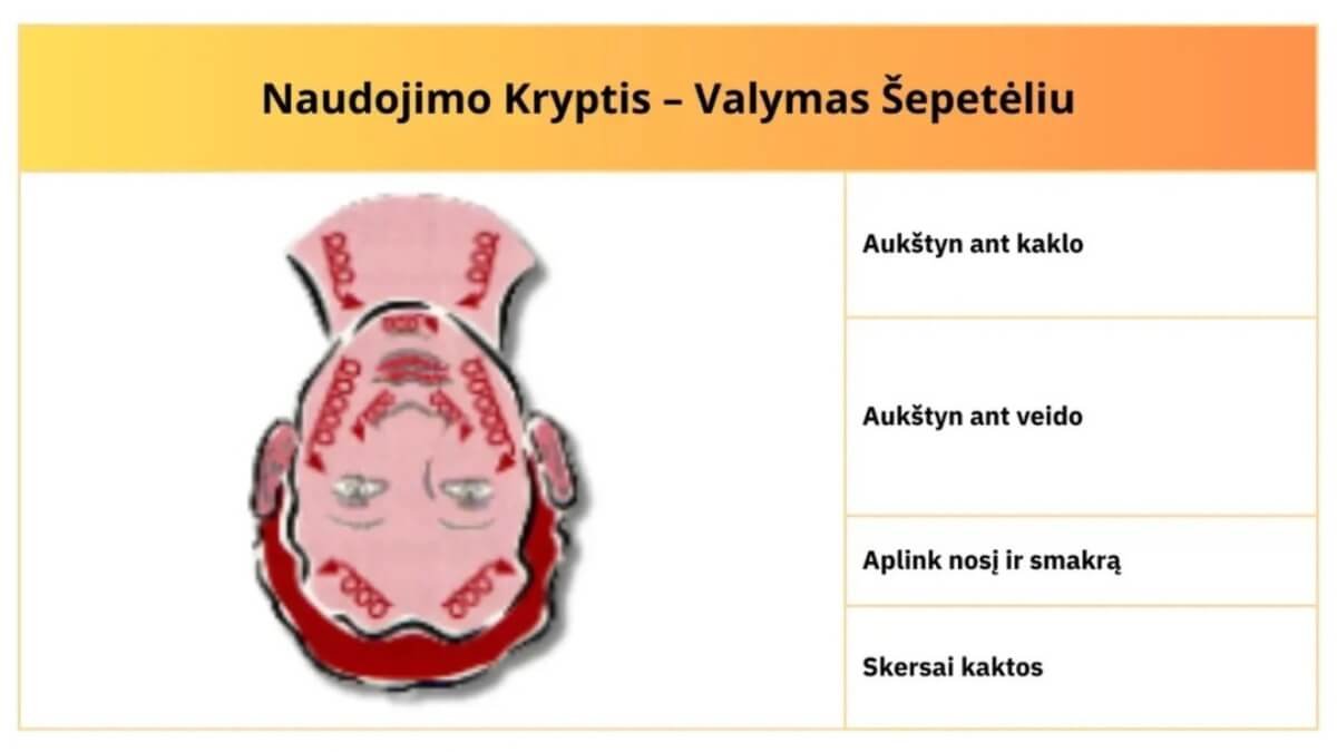 Veido Valymo Šepetėlio Prietaisas (Face Cleaning Brush Device). Pavaizduotos procedūros atliekamos veidui kryptis paimtos iš knygos An holistic guide to massage from beginner to advanced level and beyond.
