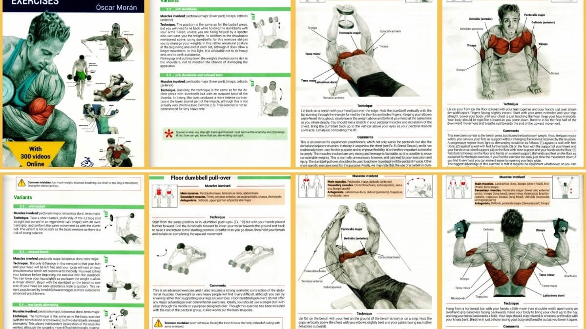 Knyga Strength Training Exercises. Pateiktos iliustracijos iš knygos Knyga Strength Training: Exercises.