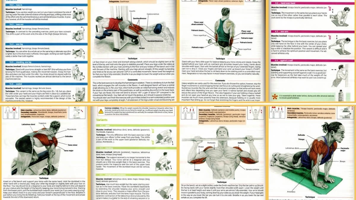 Turinis knygos strength training exercises. Pavaizduoti atliekami pratimai, kokie raumenys yra aktyvuojami jų metu.