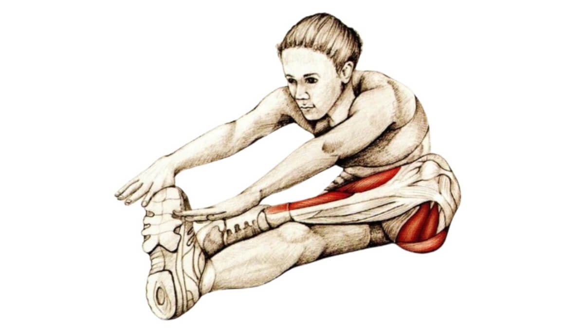 Dinaminiai Tempimo Pratimai (Dynamic Stretching Exercises). Aktyvus Izoliuotao Tempimas Pratimo Pavyzdys Iliustracija Paimta Iš Knygos The Anatomy of Stretching.