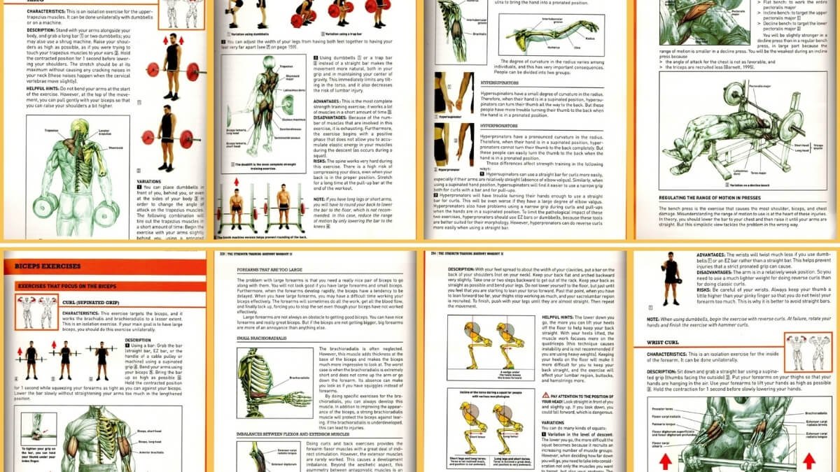 Apžvelgiamos geriausios nėščiųjų masažo knygos "Pre- and Perinatal Massage Therapy: A Comprehensive Guide to Prenatal, Labor and Postpartum Practice", taip pat pristatomos iliustracijos iš šios knygos.
