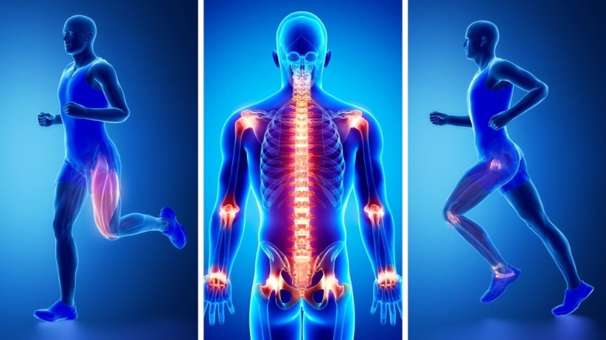 Apšilimas Sužalojimų Prevencijai (Warm-Up For Injury Prevention). Pavaizduotos anatomiškai patiriamos traumos.