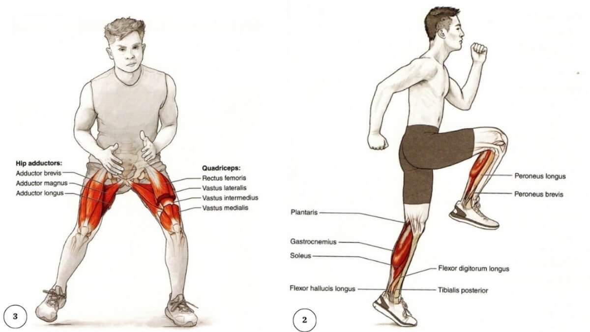 Apšilimas Sužalojimų Prevencijai (Warm-Up For Injury Prevention). Iliustracijos paimtos Iš knygos Sport Injury Prevention Anatom.
