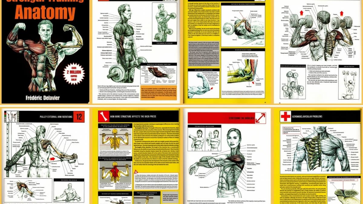 Knyga Strenght Training Anatomy. Pateiktos iliustracijos iš knygos Strenght Training Anatomy.<br />

