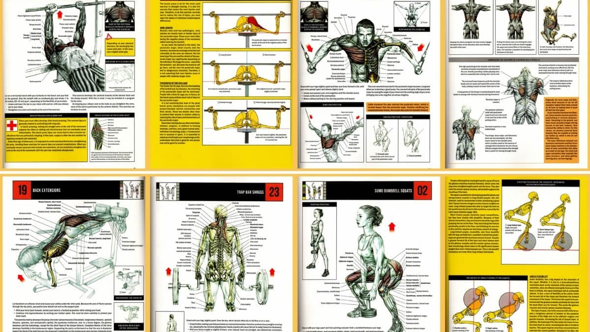 Knygos Strenght Training Anatomy Turinio Nuotraukos. Pavaizduoti skirtingi pratimai, prie kurių atvaizduota aktyvuojami raumenis.