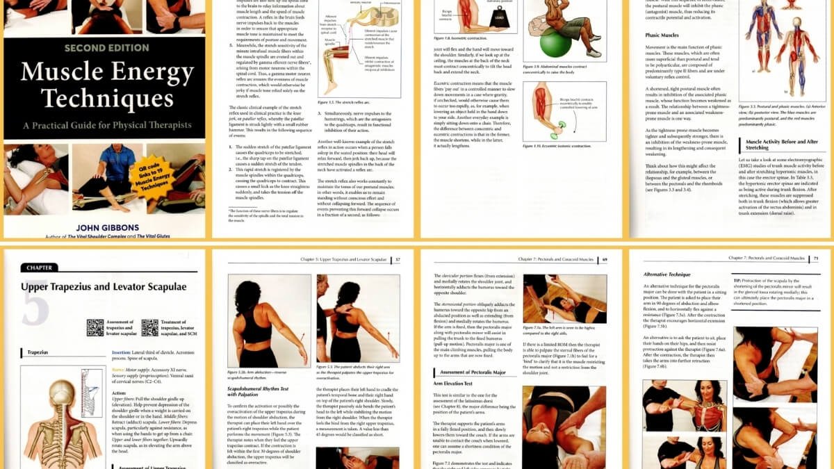 Knyga Muscle energy techniques. Pateikto iliustracijos iš knygos Muscle energy techniques.