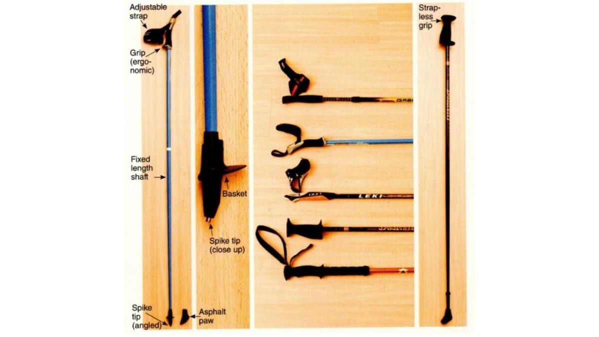 Kaip Išsirinkti Šiaurietiškas Lazdas?. Pavaizduota iliustracija iš Nordic Walking.