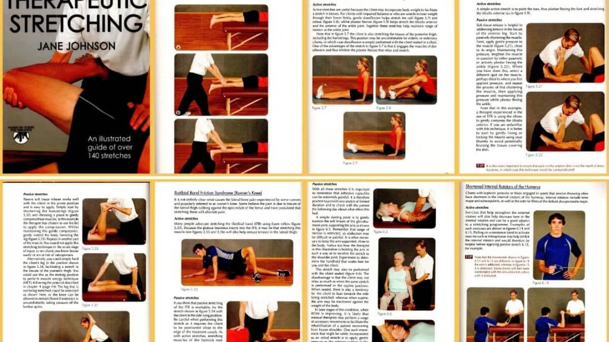 Knyga Therapeutic Stretching. Pateiktos iliustracijos iš knygos Therapeutic Stretching.