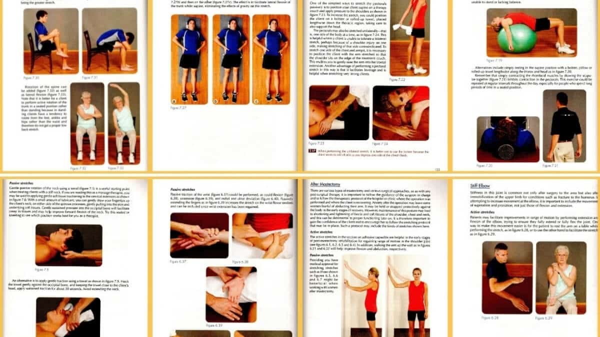Apžvelgiamos geriausios nėščiųjų masažo knygos "Pre- and Perinatal Massage Therapy: A Comprehensive Guide to Prenatal, Labor and Postpartum Practice", taip pat pristatomos iliustracijos iš šios knygos.