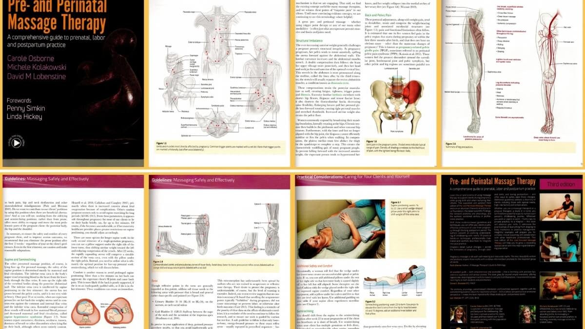Geriausios Nėščiųjų Masažo Knygos. Pateiktos iliustracijos iš knygos Pre- and Perinatal Massage Therapy.