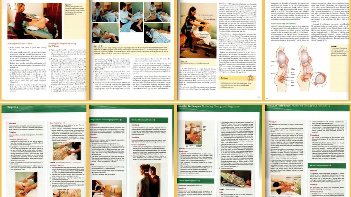 Apžvelgiamos geriausios nėščiųjų masažo knygos "Pre- and Perinatal Massage Therapy: A Comprehensive Guide to Prenatal, Labor and Postpartum Practice", taip pat pristatomos iliustracijos iš šios knygos.