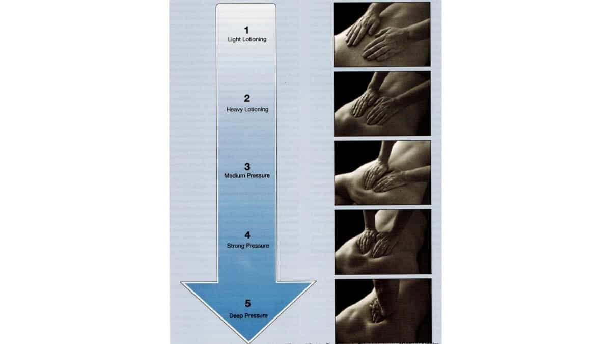 Masažas Esant Žmogaus Imunodeficito Virusinei Infekcijai. Pateikta masažo spaudimo iliustracija iš knygos  Mosbys’s Patalogy for Massage Professionals Fifth Edition.