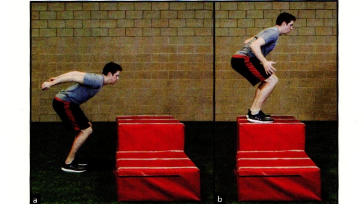 Pratimai Naudojant Pliometrinę Dėžę (BOX JUMPS EXERCISE). Pavaizduota iliustracija iš knygos Functional Training For Sports Second Edition.