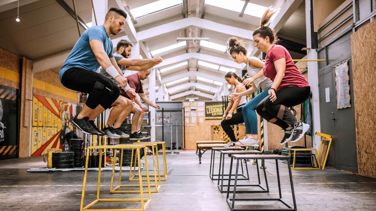 Reebok Pagrindinė Plokštė (Reebok Core Board). Paveiksliukas paimtas iš knygos The Complete Guide To Core Stability 3rd Edition.
