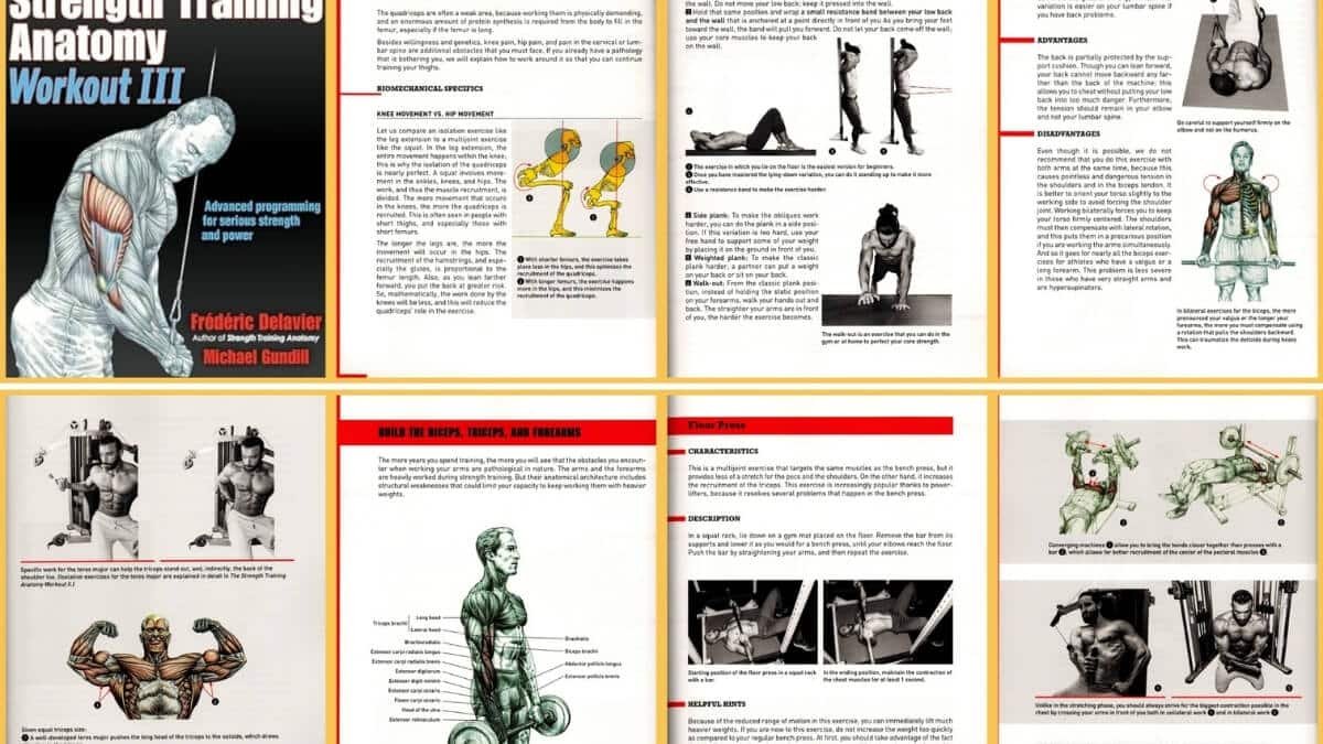 Knyga The Strength Training Anatomy Workout III. Pateiktos iliustracijos iš knygos The Strength Training Anatomy Workout III.