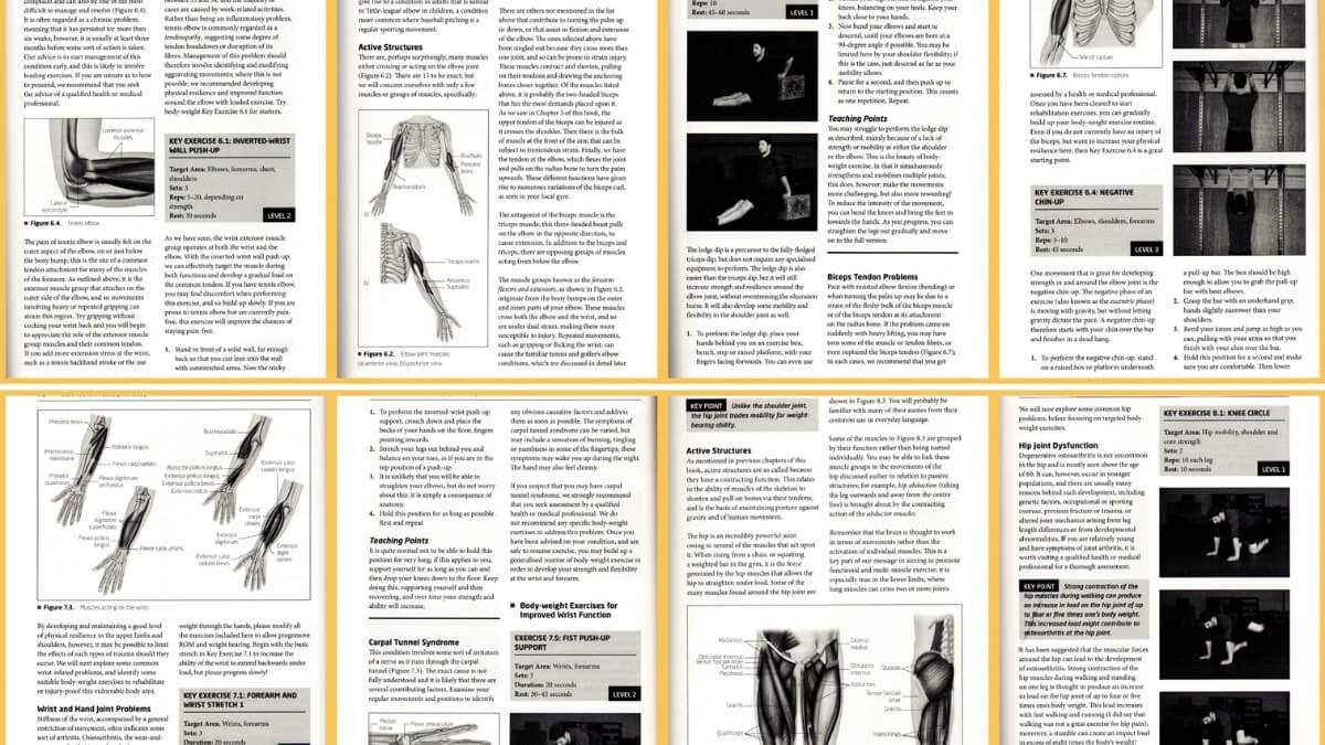 pavaizduotas knygos „Build Your Own Bulletproof Body: Bodyweight Exercises for Strength, Resilience and Injury Prevention“ autorių Ross Clifford ir Ashley Kalym turinis. Pateikti pratimai tam tikrai raumenų grupei. Tinkamos prie tam tikrų traumų.