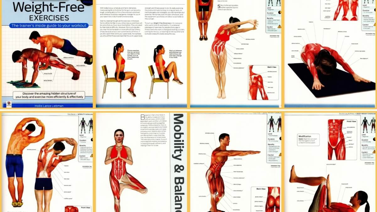 knygo turinio Anatomy of Fitness pavaizduoti atliekami pratimai. Kur matomi aktyvuojami raumenis.