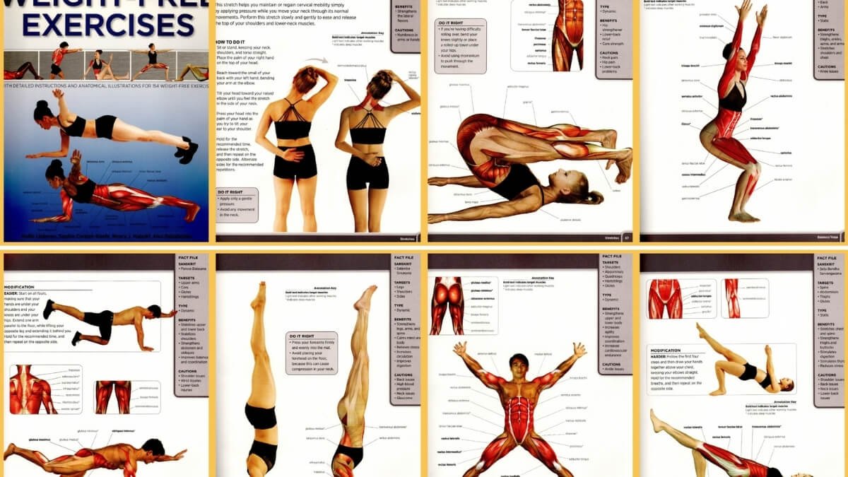 Knygos Pratimam Su Savo Kūno Svoriu. Pateiktos iliustracijos iš knygos Ultimate Guide to Weight-Free Exercises.