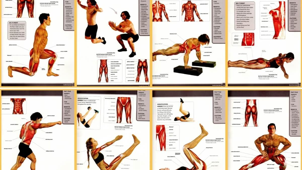 Knygos Ultimate Guide to Weight-Free Exercises turinio nuotraukos. Kur atvaizduoti pratimai ir kokie raumenys yra aktyvuojami juos atliekant.