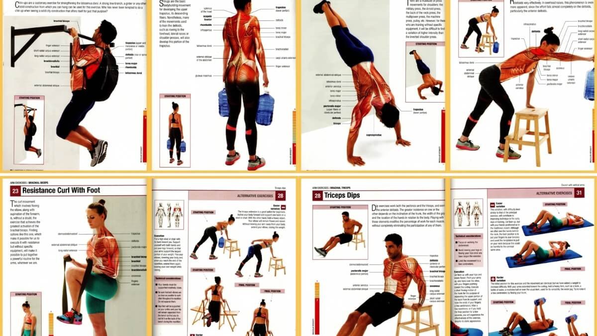 Apžvelgiamos geriausios knygos pratimam su savo kūno svoriu, antroji knyga yra viena iš jų tai yra "Anatomy & Strength Training: Without Specialized Equipment".