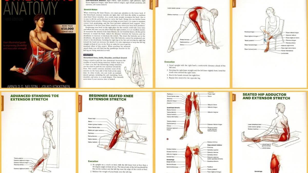 Apžvelgiamos geriausios knygos apie statinius tempimo pratimus. Iliustracijoje atvaizduotos iliustracijos randamos knygoje Stretching Anatomy Third Edition .