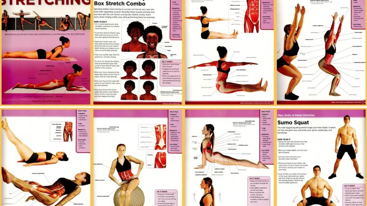 Geriausios Knygos Apie Statinius Tempimo Pratimus. Pateiktos iliustracijos iš knygos Ultimate Guide to Stretching.