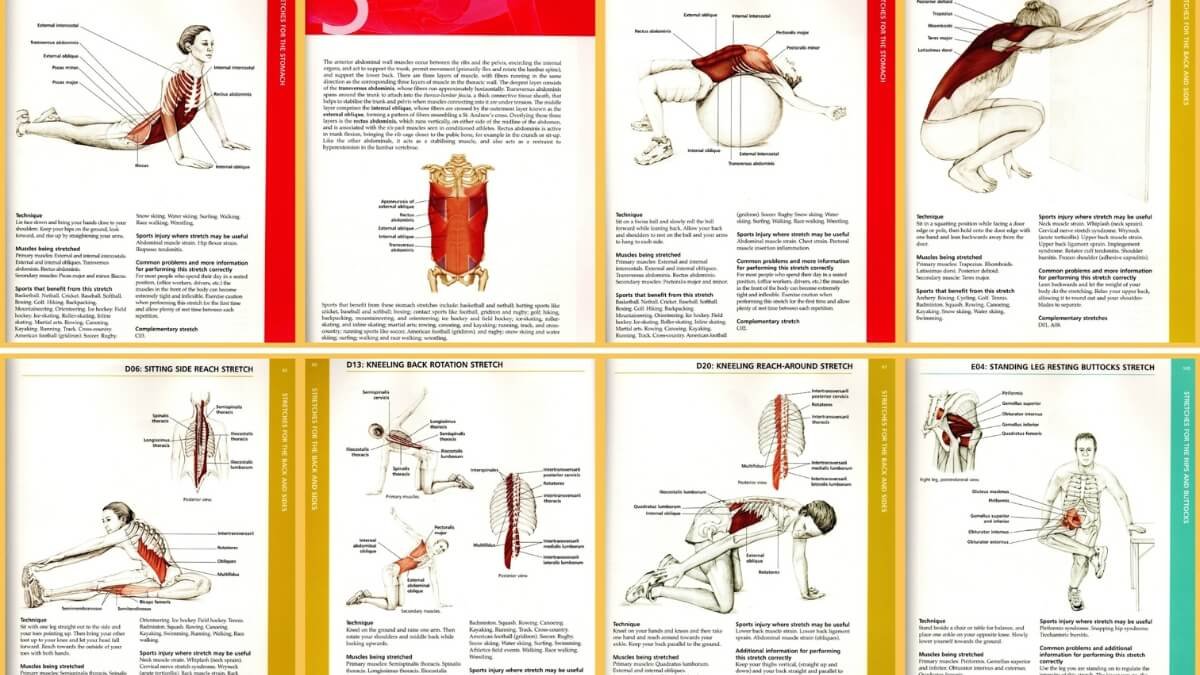 Apžvelgiamos geriausios nėščiųjų masažo knygos "Pre- and Perinatal Massage Therapy: A Comprehensive Guide to Prenatal, Labor and Postpartum Practice", taip pat pristatomos iliustracijos iš šios knygos.
