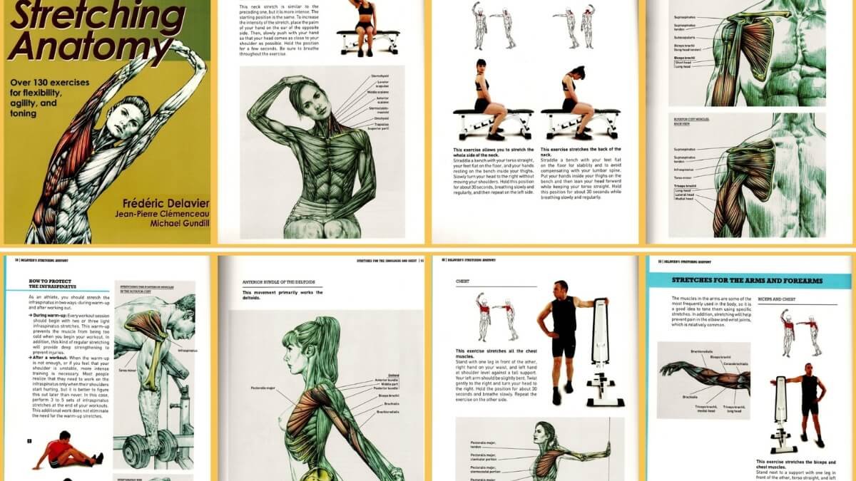 Apžvelgiamos geriausios nėščiųjų masažo knygos pirmoji knyga Pre- and Perinatal Massage Therapy: A Comprehensive Guide to Prenatal, Labor and Postpartum Practice ir pavaizduotos iliustracijos iš šios knygos.
