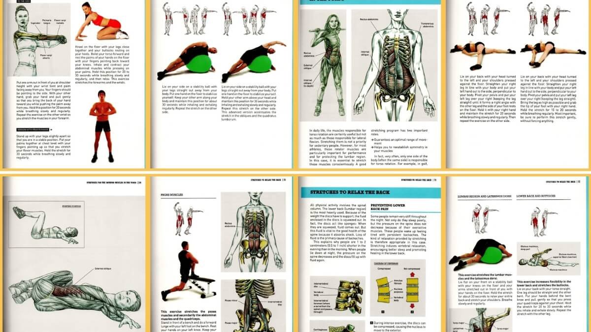 Apžvelgiamos geriausios nėščiųjų masažo knygos "Pre- and Perinatal Massage Therapy: A Comprehensive Guide to Prenatal, Labor and Postpartum Practice", taip pat pristatomos iliustracijos iš šios knygos.