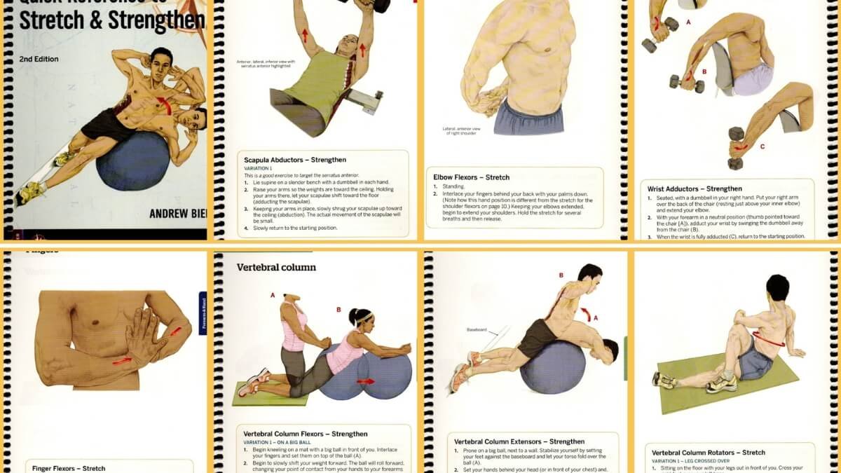 Apžvelgiamos geriausios nėščiųjų masažo knygos pirmoji knyga Pre- and Perinatal Massage Therapy: A Comprehensive Guide to Prenatal, Labor and Postpartum Practice ir pavaizduotos iliustracijos iš šios knygos.