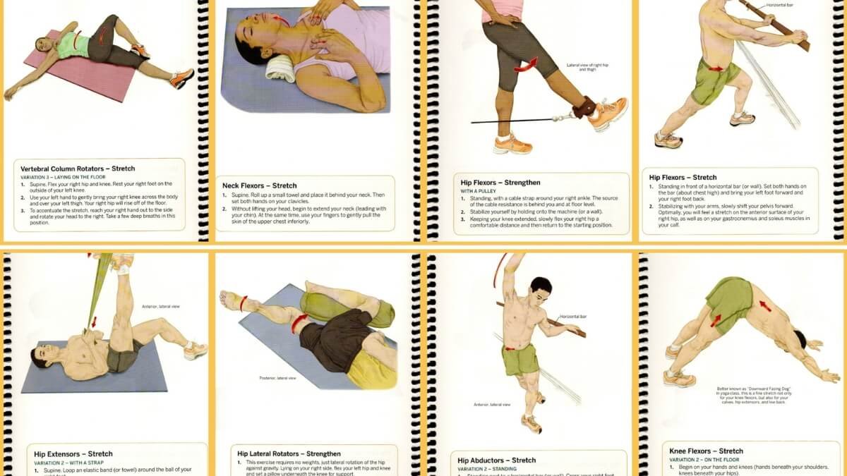 Apžvelgiamos geriausios nėščiųjų masažo knygos "Pre- and Perinatal Massage Therapy: A Comprehensive Guide to Prenatal, Labor and Postpartum Practice", taip pat pristatomos iliustracijos iš šios knygos.