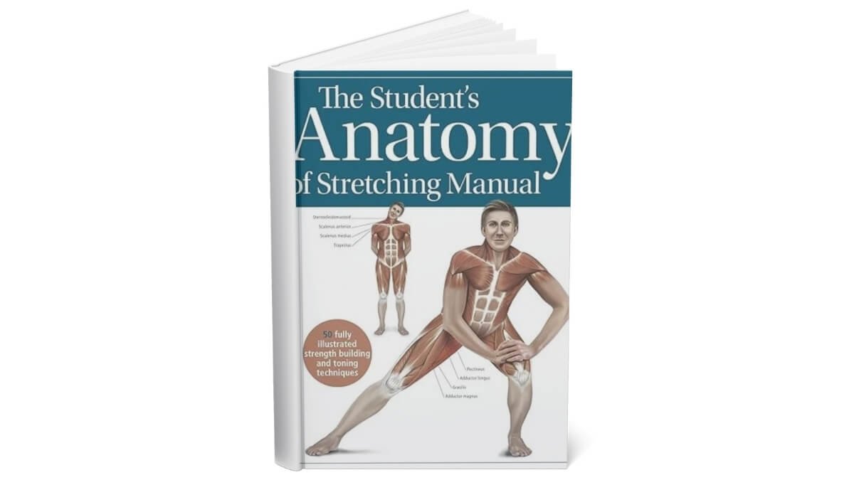 Knygos Viršelis The Student's Anatomy of Stretching Manual.