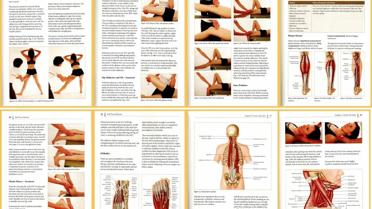 Apžvelgiamos geriausios nėščiųjų masažo knygos "Pre- and Perinatal Massage Therapy: A Comprehensive Guide to Prenatal, Labor and Postpartum Practice", taip pat pristatomos iliustracijos iš šios knygos.