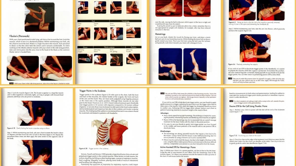 Apžvelgiamos geriausios nėščiųjų masažo knygos "Pre- and Perinatal Massage Therapy: A Comprehensive Guide to Prenatal, Labor and Postpartum Practice", taip pat pristatomos iliustracijos iš šios knygos.
