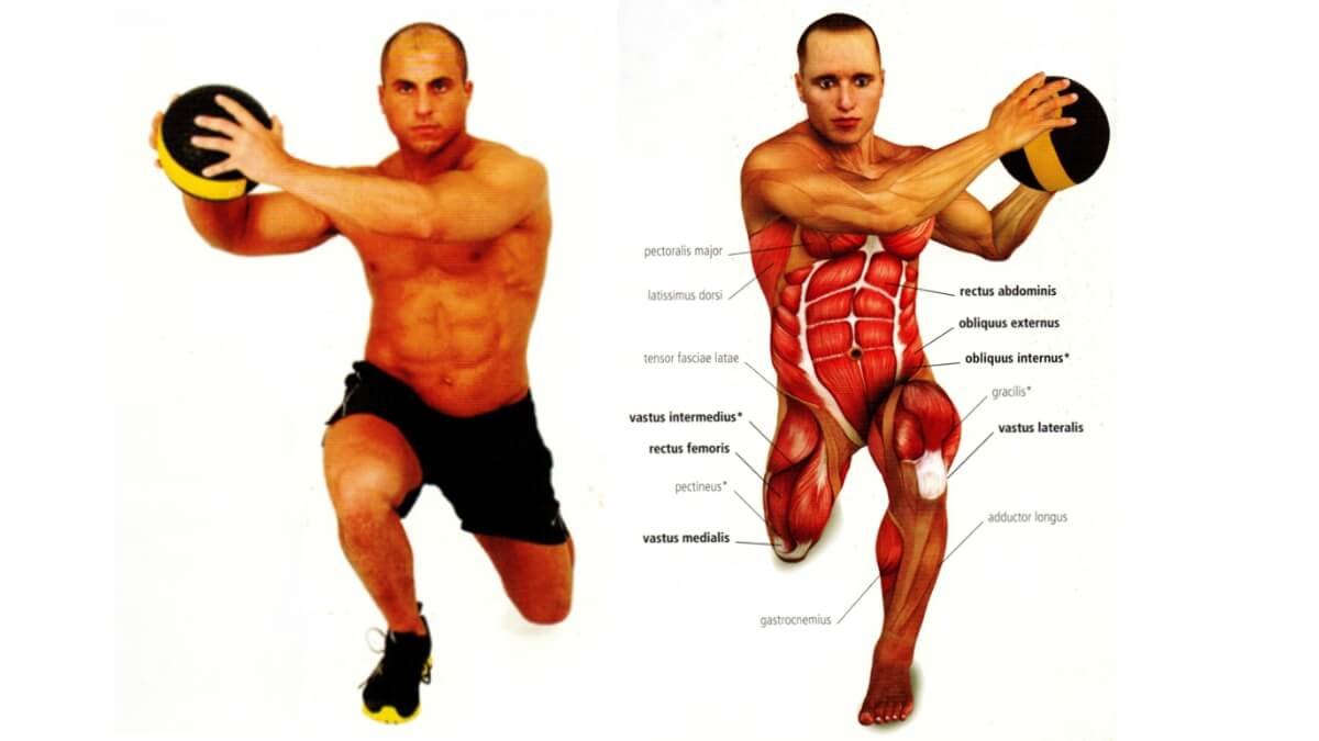 Medicininio Kamuolio Pratimų Veiksmingumas (Medicine Ball). Pateikta iliustracija iš knygos Anatomy of Functional Training: Exercise programmes for real life activities.