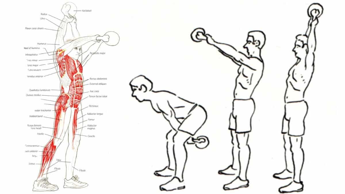 Svarsčių (Giros) Treniruotės Nauda (Benefits Of Kettlebell Exercise). Pateikta iliustracija iš knygos Anatomy for strength & fitness training.