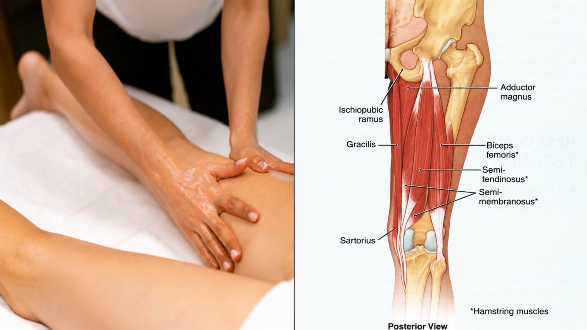Masažas Užpakalinės Šlaunies Raumenų Patempimui (Hamstring Strain) Masažas Užpakalinės Šlaunies Raumenų Patempimui (Hamstring Strain). Hamstring raumenų anatomija ir masažo technika užpakalinei šlauniai.