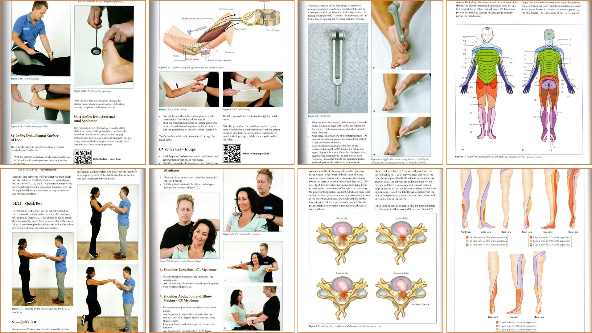 Knygos The Vital Nerves: A Practical Guide for Physical Therapist Apžvalga Knygos The Vital Nerves: A Practical Guide for Physical Therapist Apžvalga. Apatinės galūnės refleksų testavimas naudojant neurologinį plaktuką.