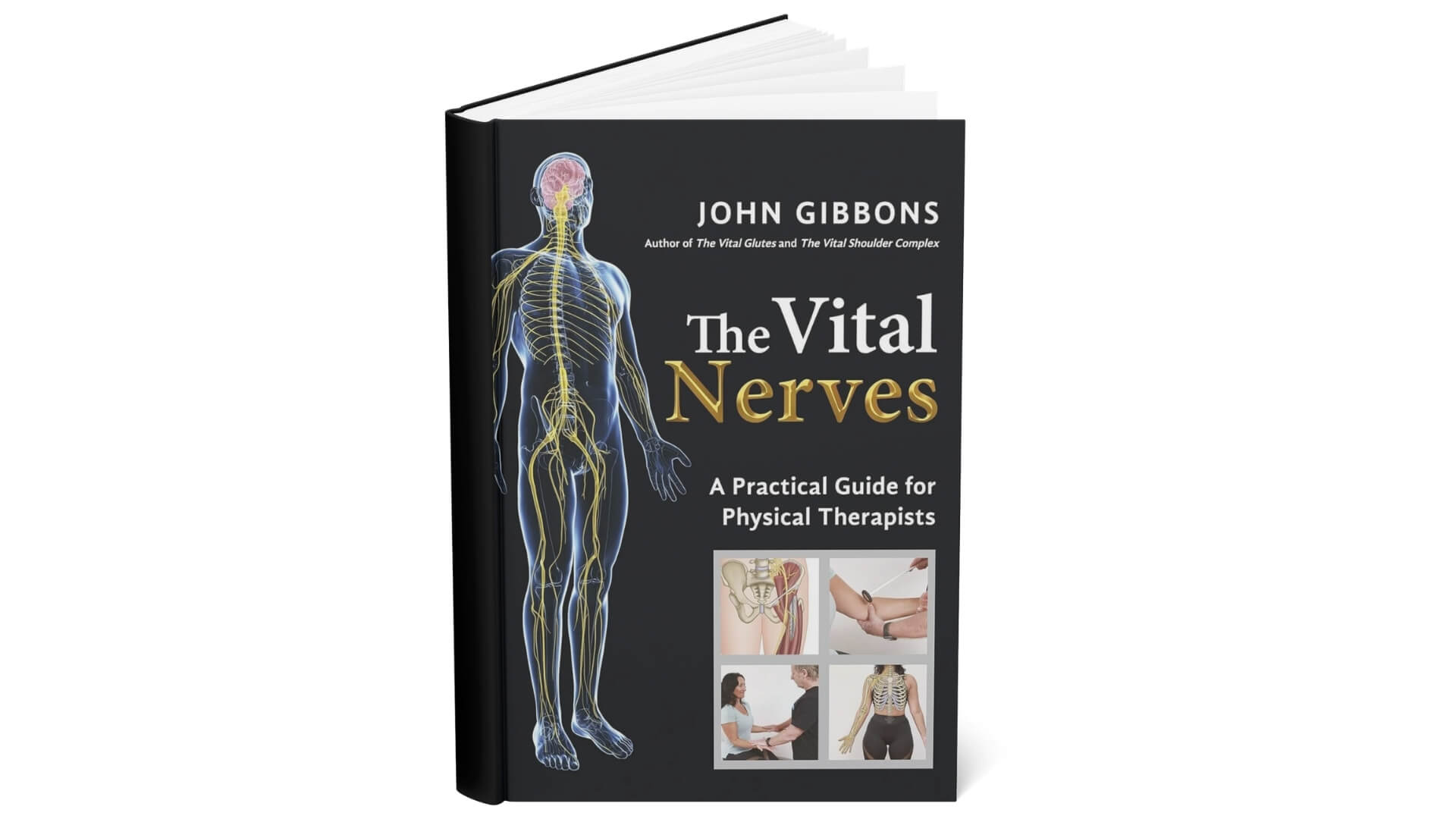 Knygos The Vital Nerves: A Practical Guide for Physical Therapist Apžvalga Knygos „The Vital Nerves: A Practical Guide for Physical Therapists“ viršelis su žmogaus nervų sistemos anatomine iliustracija.