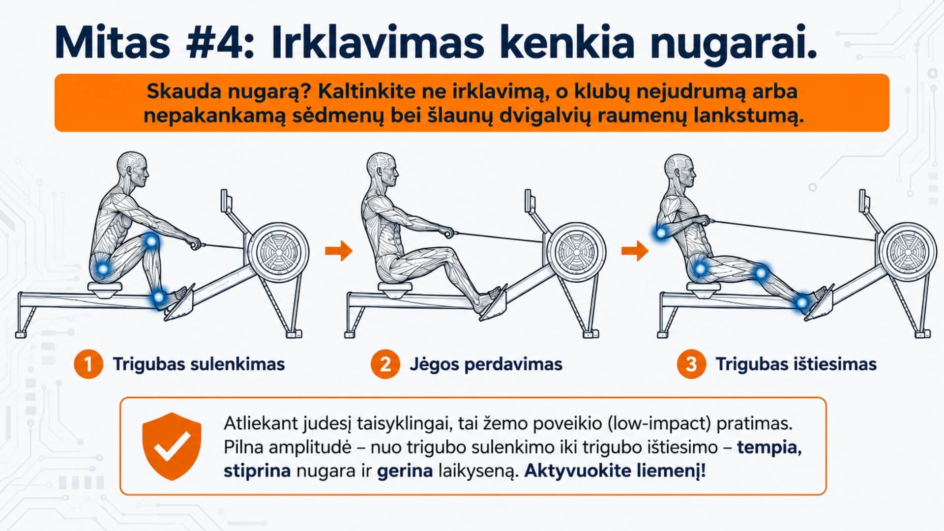 Irklavimo Faktai Ir Mitai (Rowing Facts And Myths) Irklavimo Faktai Ir Mitai (Rowing Facts And Myths). Infografika, paneigianti mitą, kad irklavimas kenkia nugarai. Pavaizduoti taisyklingi irklavimo judesio etapai, jėgos perdavimas ir viso kūno judesių amplitudė, padedanti stiprinti nugarą bei gerinti laikyseną.