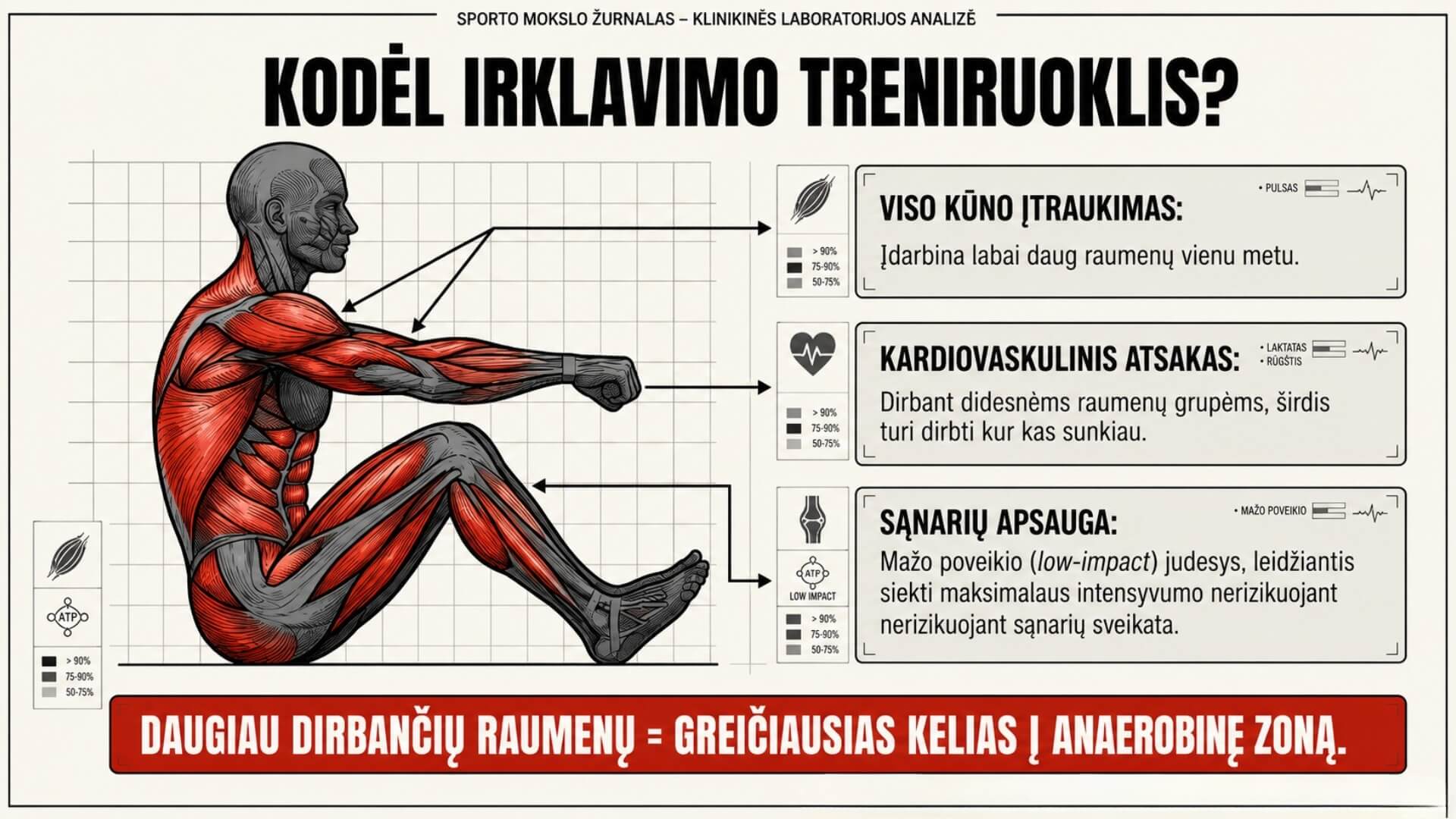 Intervalinės Irklavimo Treniruotės (Rowing Interval Workouts) Intervalinės Irklavimo Treniruotės (Rowing Interval Workouts). Infografikas, rodantis pagrindinius irklavimo treniruoklio privalumus – viso kūno raumenų įtraukimą, didesnį širdies ir kraujagyslių sistemos aktyvumą bei mažą sąnarių apkrovą.