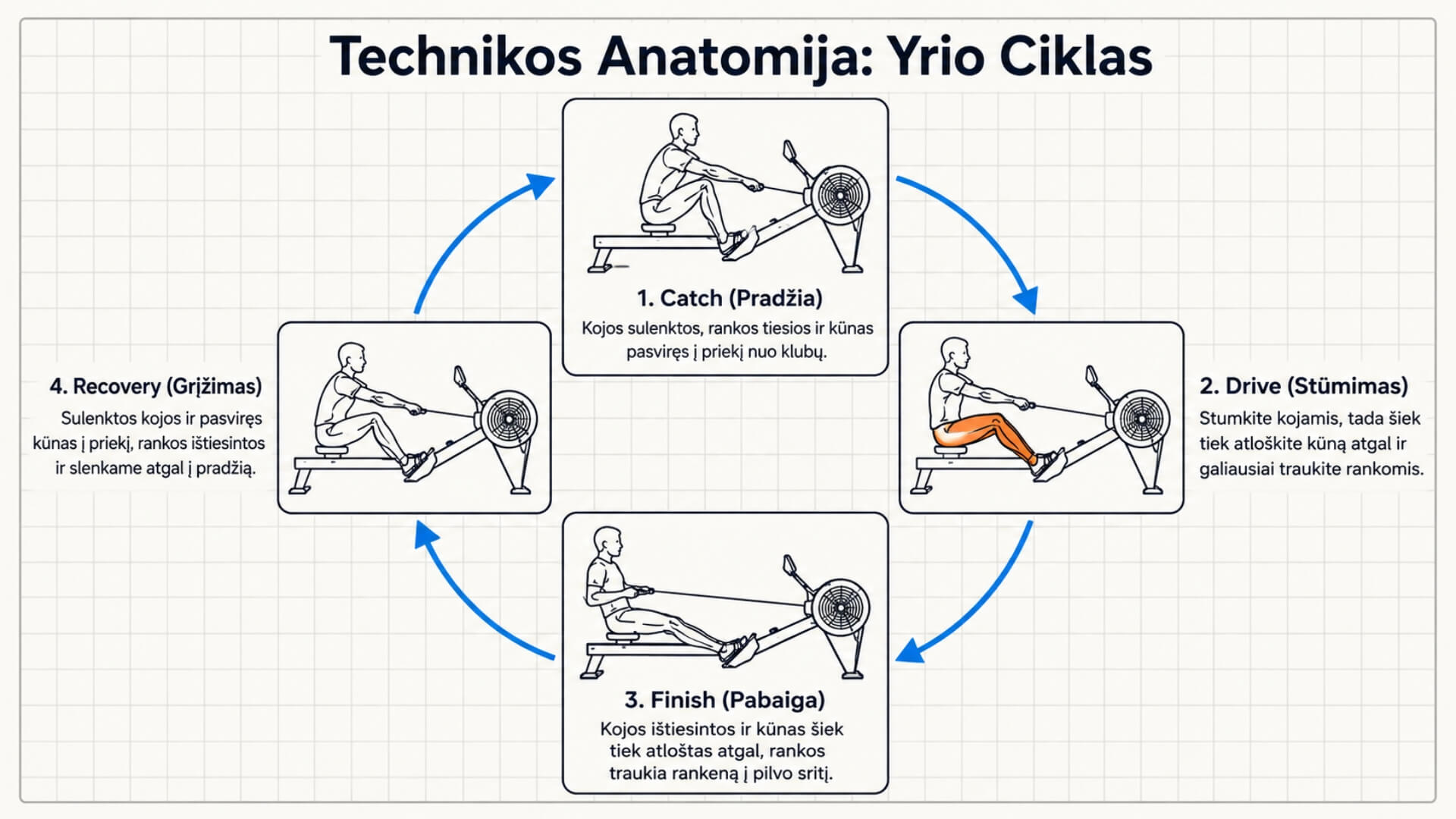 Irklavimo Treniruoklių Tipai (Rowing Machine Types) Irklavimo Treniruoklių Tipai (Rowing Machine Types). Infografikas, vaizduojantis irklavimo technikos ciklą – yrio pradžią (catch), atsispyrimą (drive), pabaigą (finish) ir grįžimo fazę (recovery), parodant taisyklingą judesių seką ant irklavimo treniruoklio.