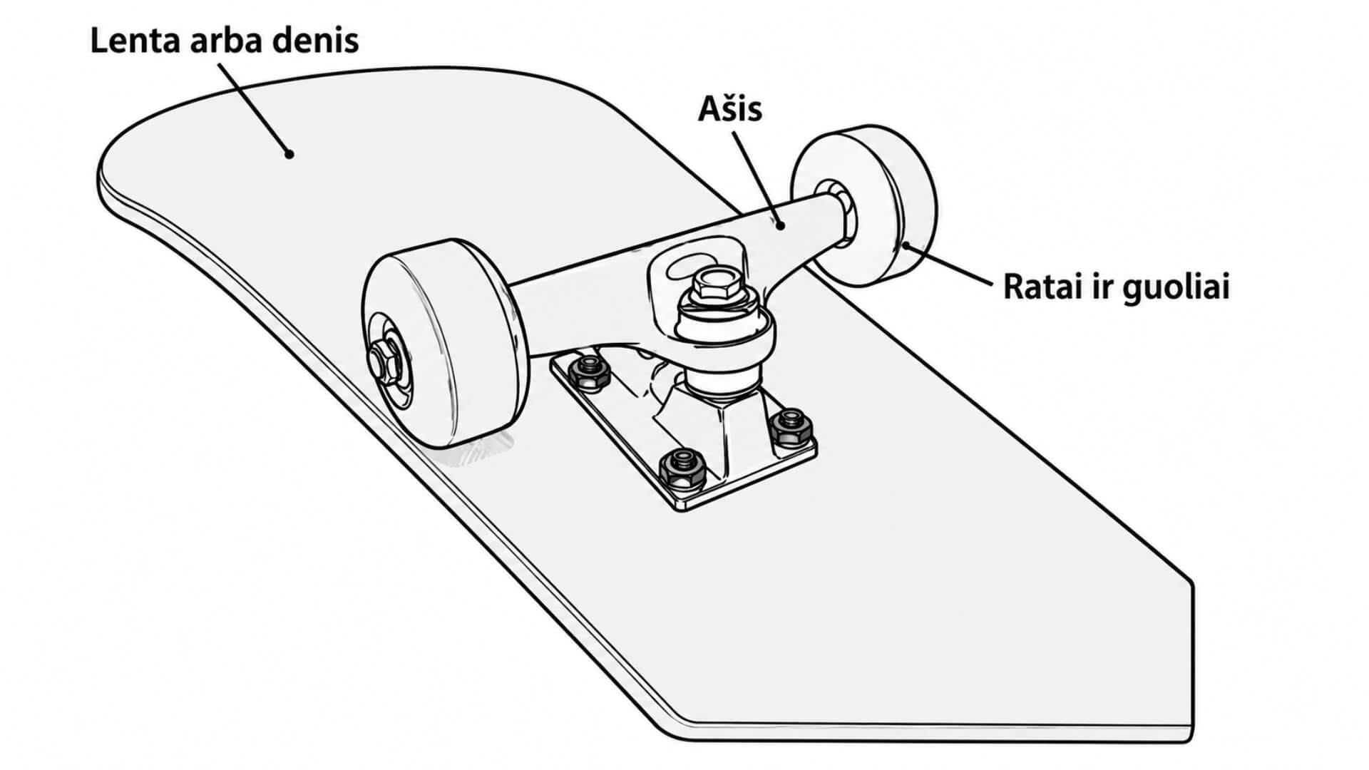 Riedlentės Sandara, Dalys Ir Pasirinkimas (Skateboard Anatomy, Parts and Selection) Riedlentės Sandara, Dalys Ir Pasirinkimas (Skateboard Anatomy, Parts and Selection). Iliustracijoje pateikta riedlentės sandara: platforma (deck), ašis, ratai, guoliai ir pakabos (trucks).