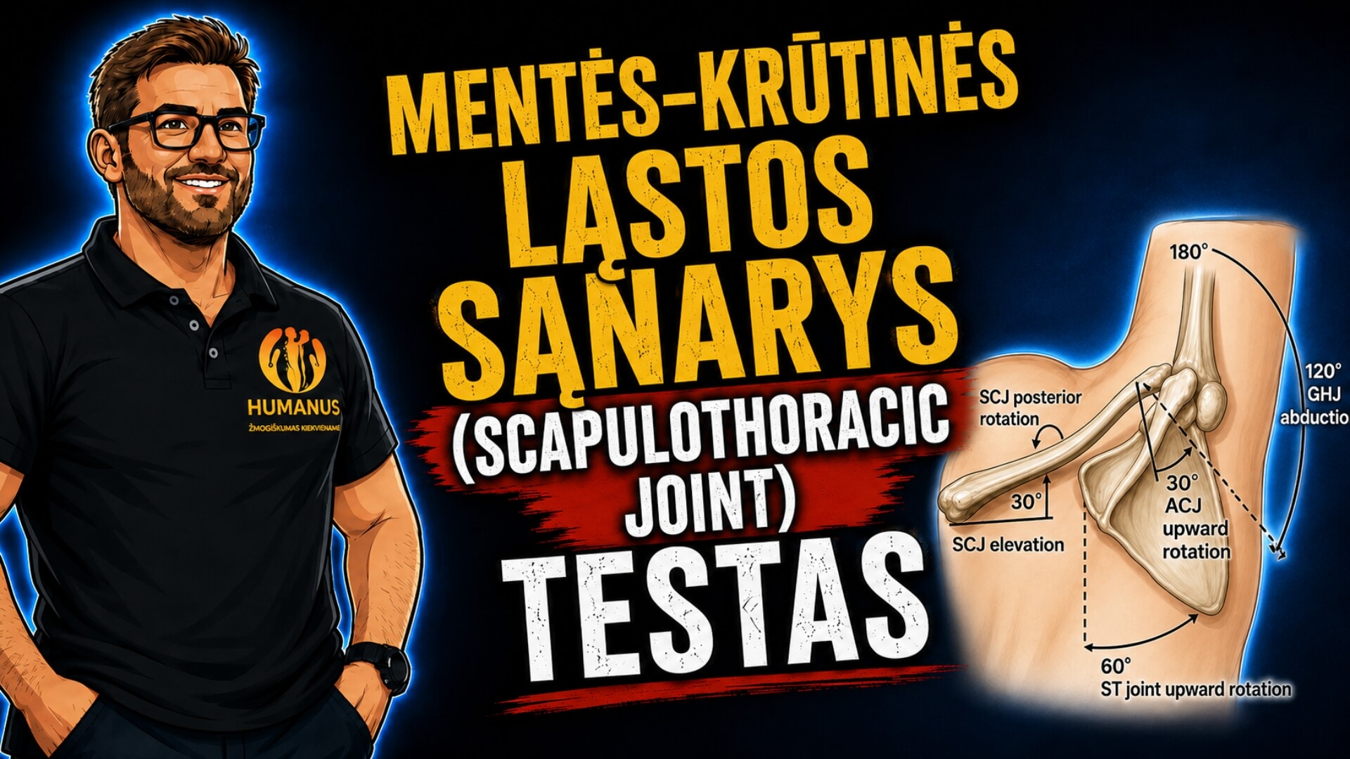 Mentės–Krūtinės Ląstos Sąnario Testas (Scapulothoracic Joint Test). Mentės–krūtinės ląstos sąnario testo iliustracija, vaizduojanti mentės judėjimą ir mentės–žastikaulio ritmą: 60° mentės rotacija, 120° žastikaulio–mentės sąnario atitraukimas, 30° AC sąnario ir 30° SCJ judesiai.
